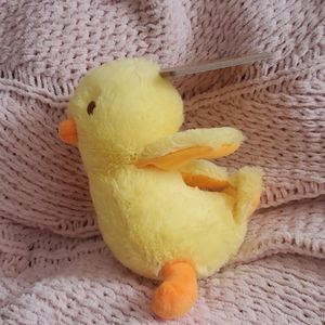 Brand new cute baby chick doggie toy